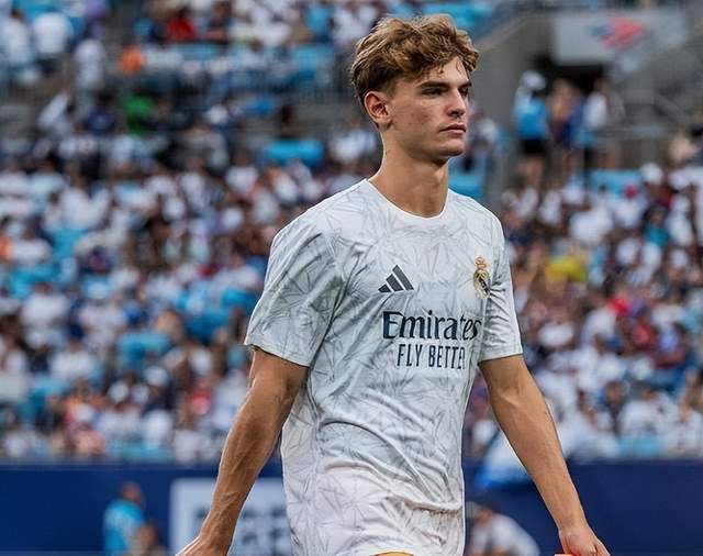 提供了专业 提供了专业