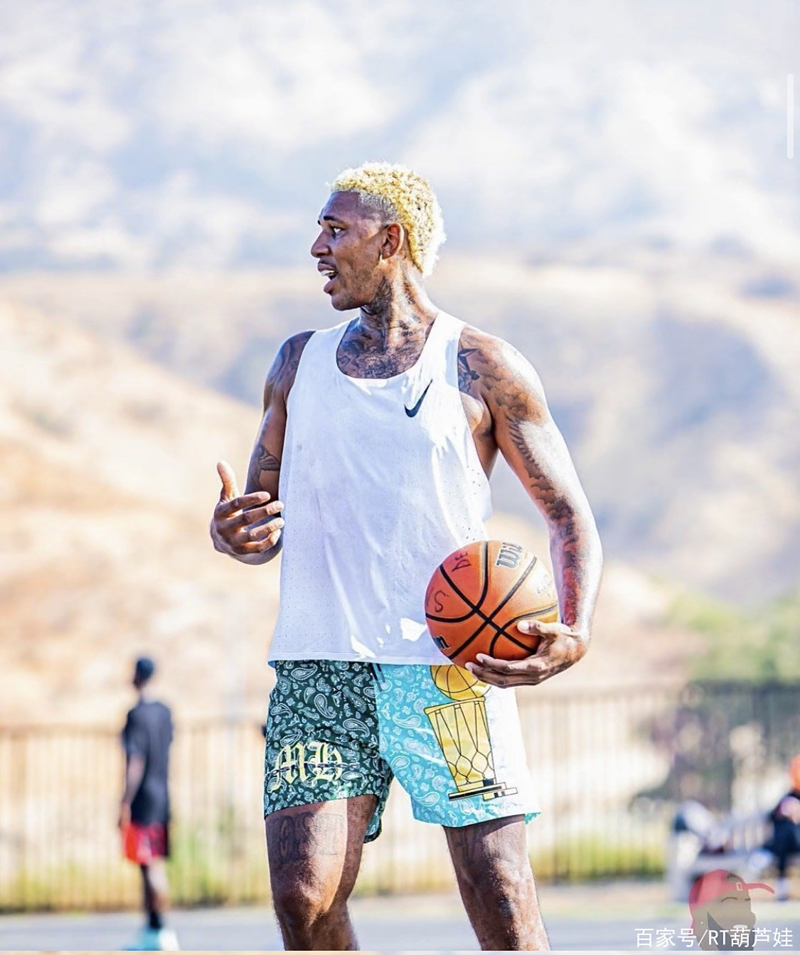 会显著下滑 会显著下滑